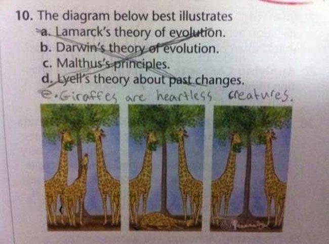 test-answers-that-are-totally-wrong-but-still-genius-12
