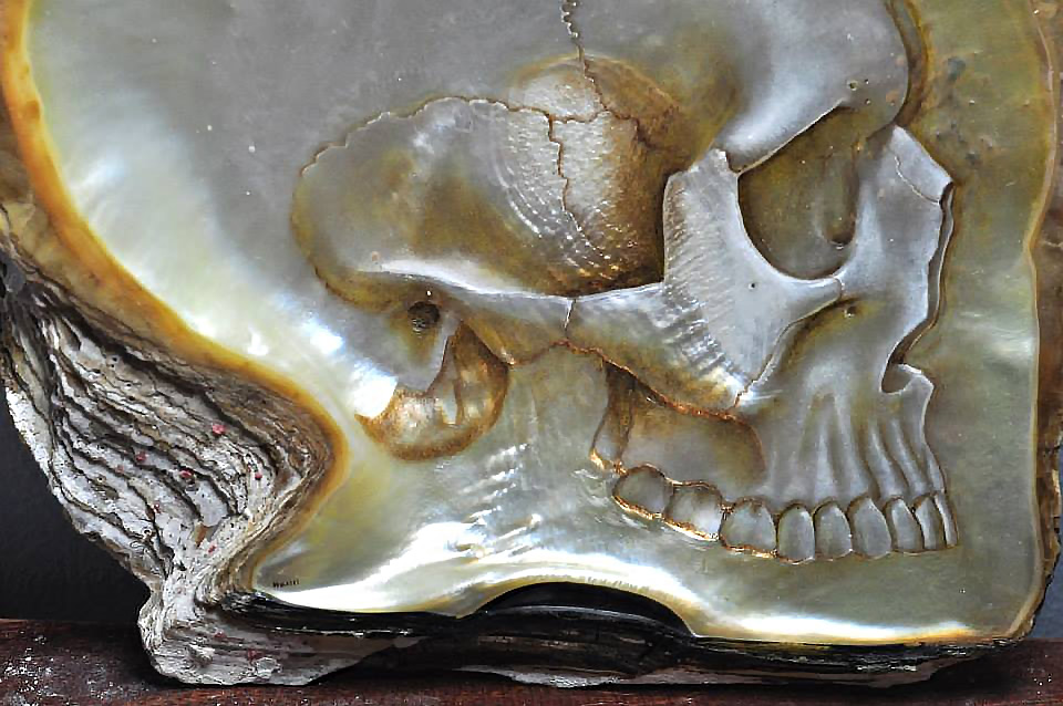 Mother of Pearl Shell Skull Carvings by Gregory Halili skulls shells bas relief anatomy