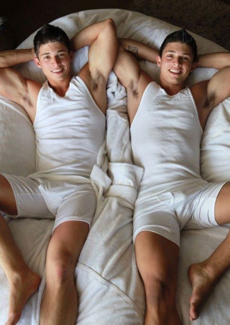 Incest Brothers Gay Porn Twins - Twin Brothers: The Biggest Taboo in Gay Porn? - OZONWeb by OZON Magazine